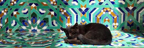 danelia_ Profile Banner