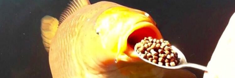 emzz820's profile banner image