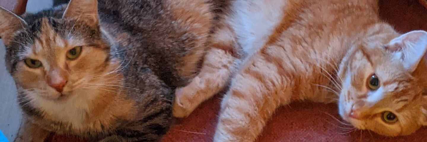 miekatilley's profile banner image
