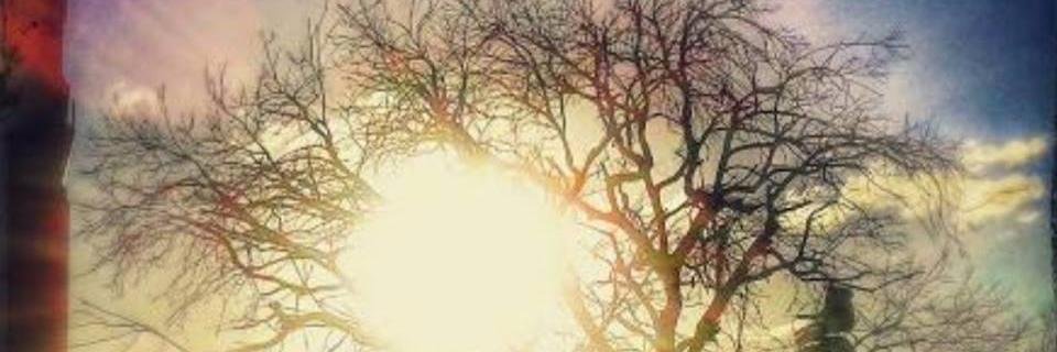Ses_Fariaas's profile banner image