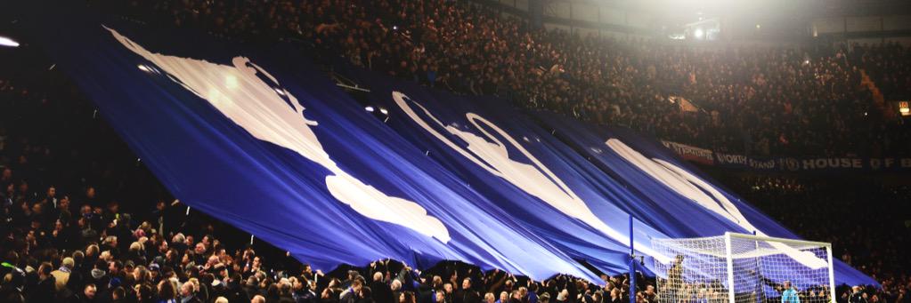 Daniel Haighton banner