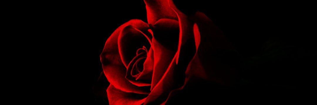 Bantu_Ke's profile banner image