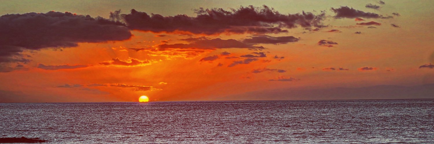 MelCollierX's profile banner image