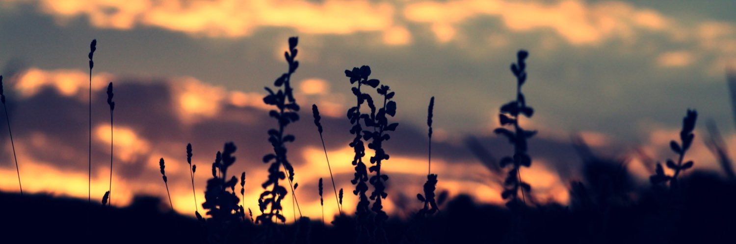 sym_topcuoglu's profile banner image