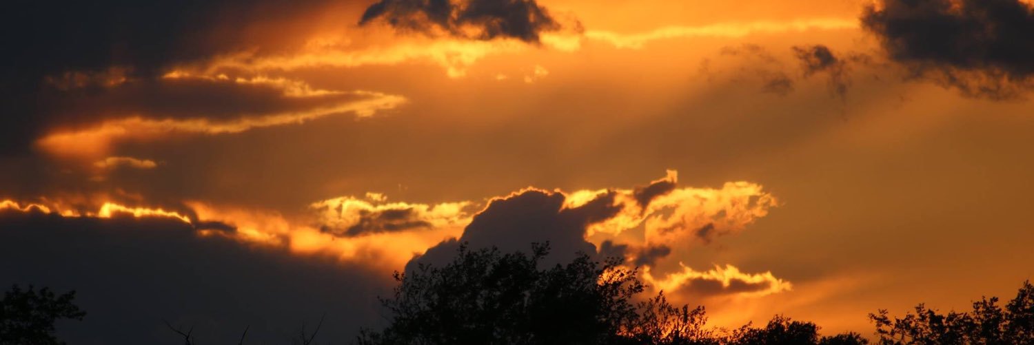 sm_harrell's profile banner image