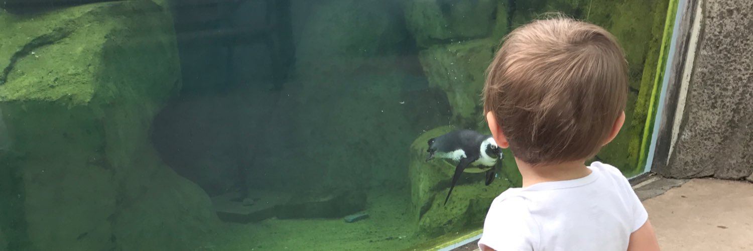 Shayneayers's profile banner image