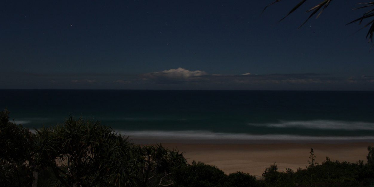 jeremy buzzard banner