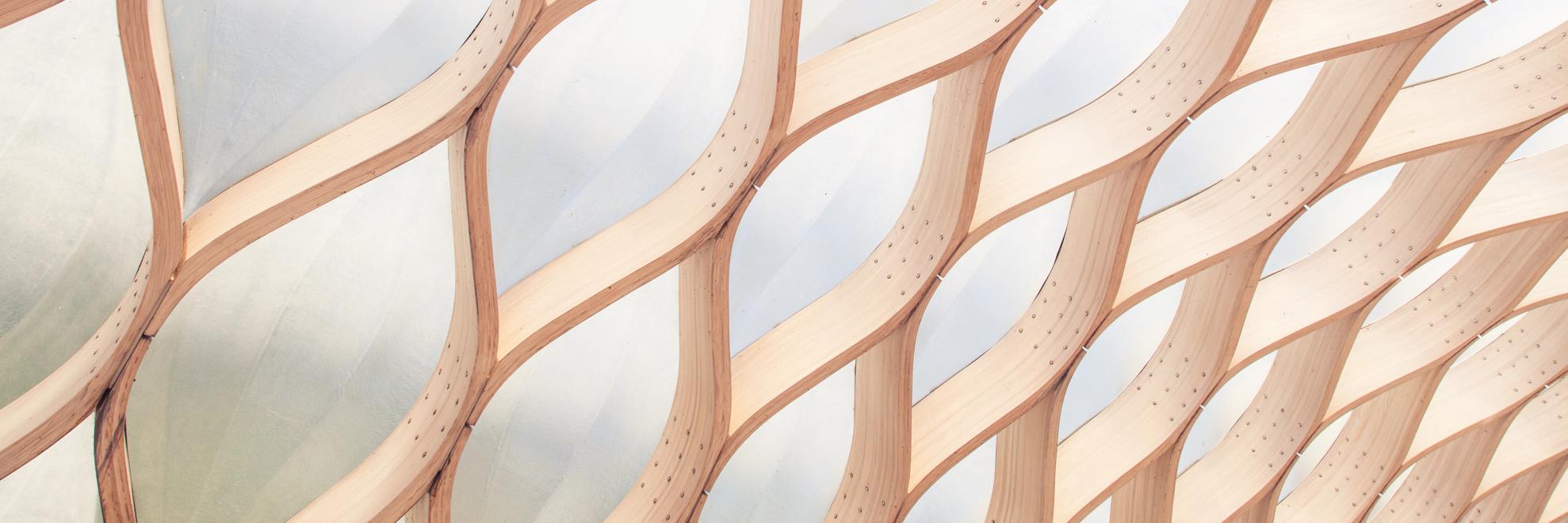 Sarah van Loon banner