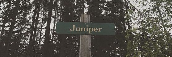 jujuniper's profile banner image