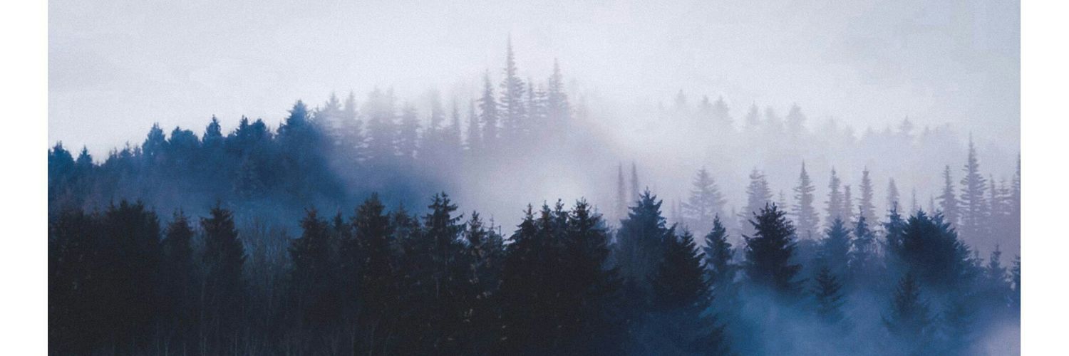 Twinkle_life__'s profile banner image