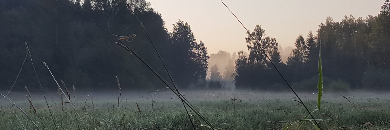 wiik_c's profile banner image
