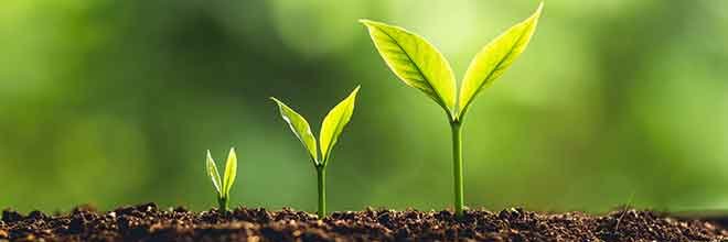 Stephanie Allen banner