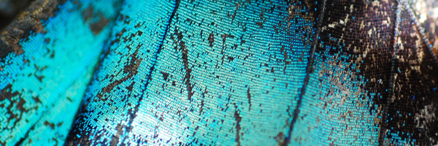 innito_info's profile banner image