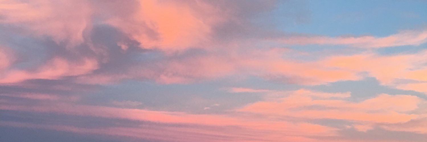 Natalia Novillo banner