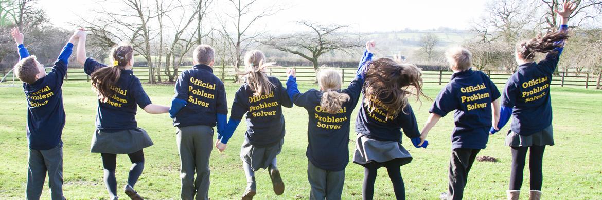 Problem Solving Co. banner