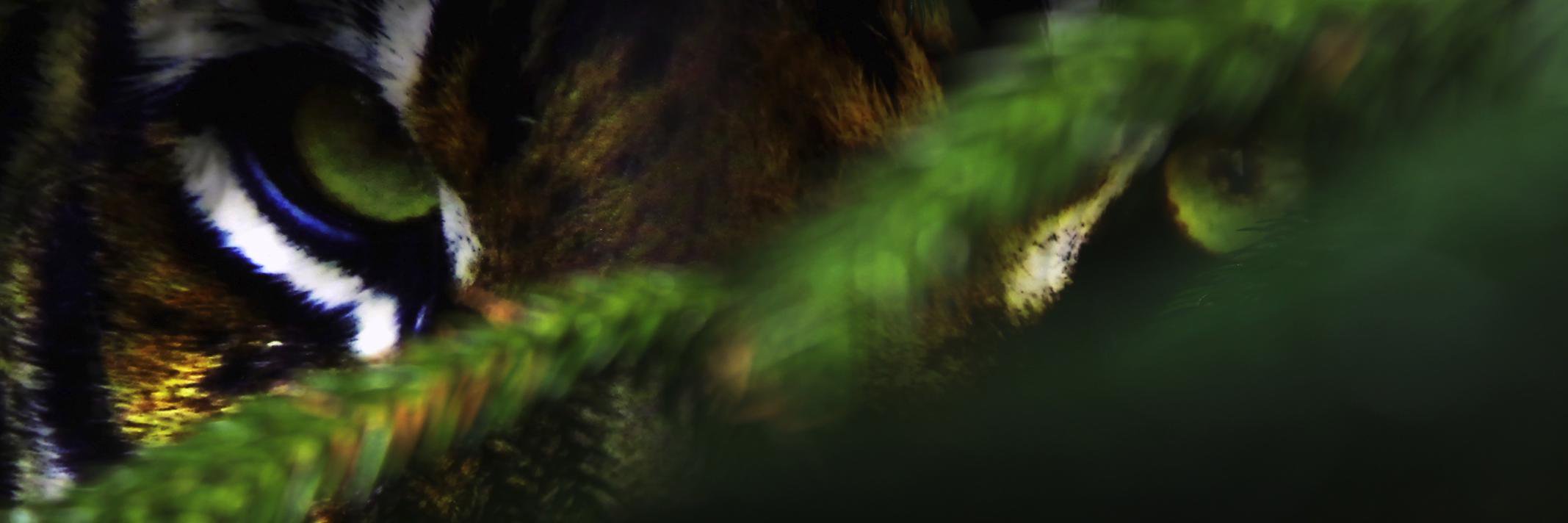 dkonlyone's profile banner image