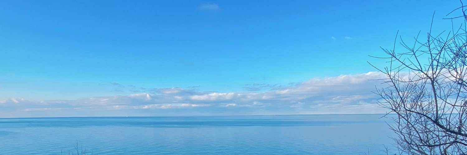 janedigregorio's profile banner image