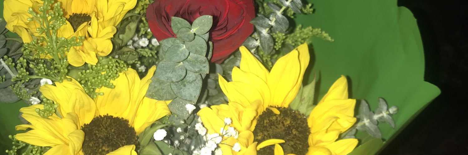 Ask__Caroline's profile banner image