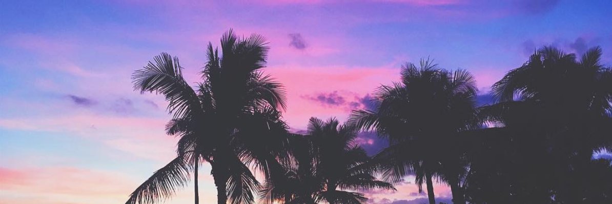Alex's banner