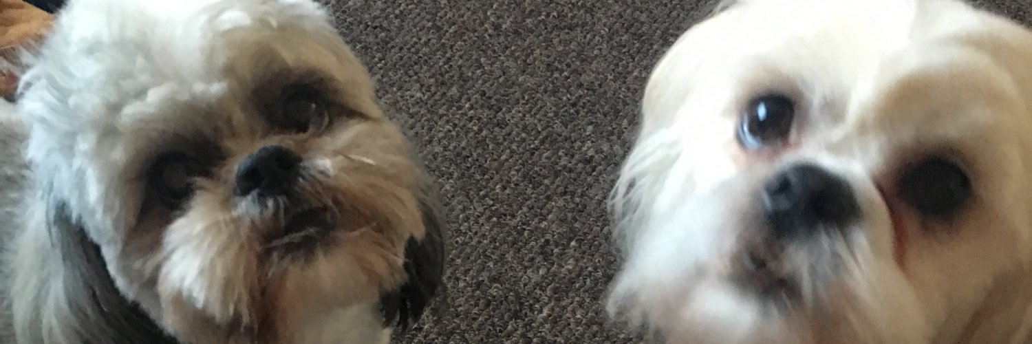 darrenmcarr0's profile banner image