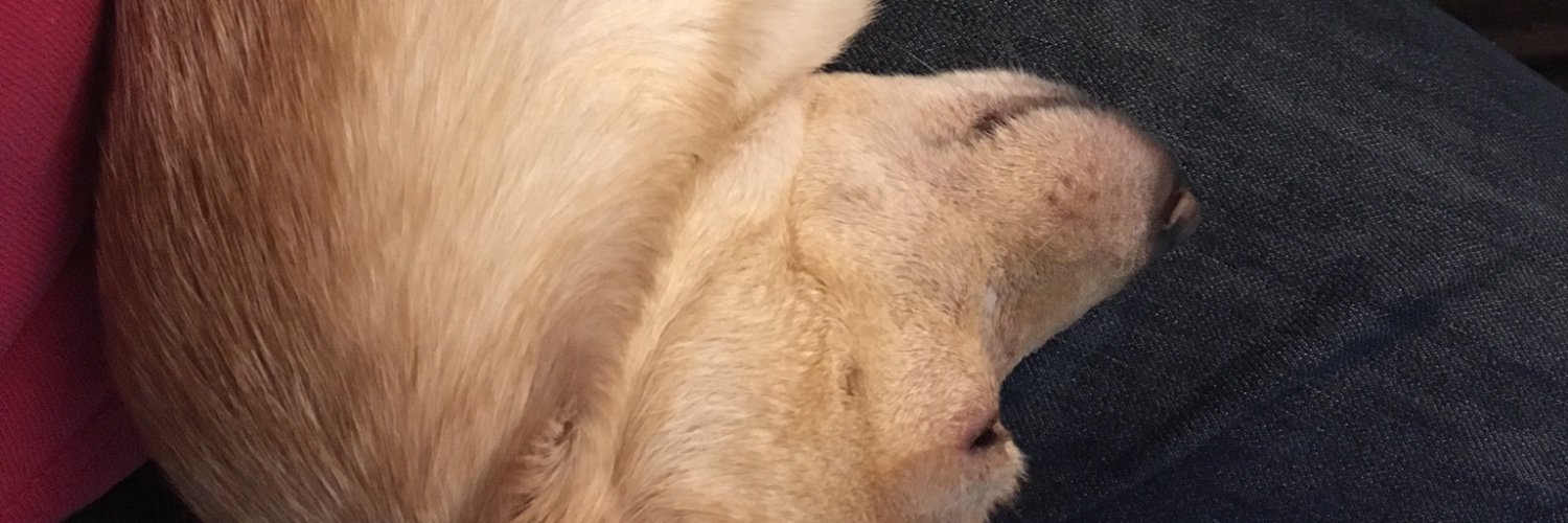 DanMache1's profile banner image