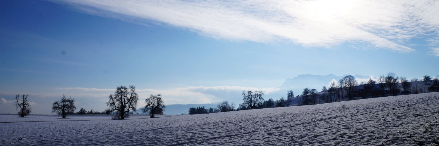 HildyMueller's profile banner image