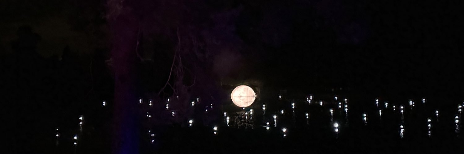 Christy E Doherty banner