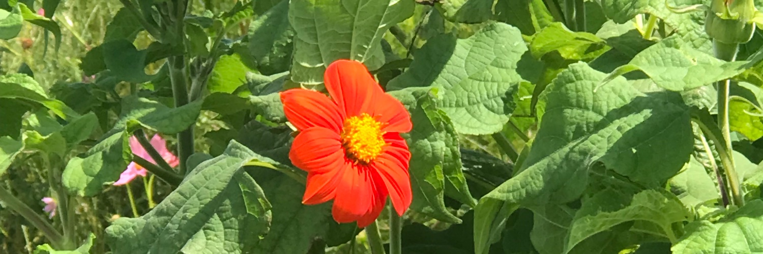 gmo418's profile banner image
