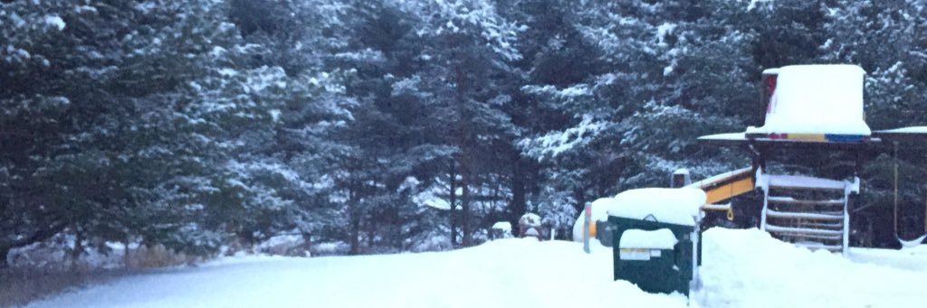 Robert Huebert banner