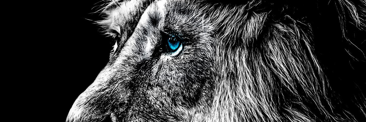 1Trace4me's profile banner image