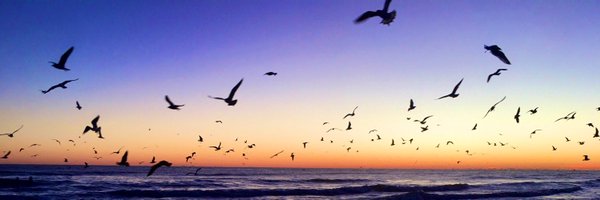 ChristineBlake Profile Banner