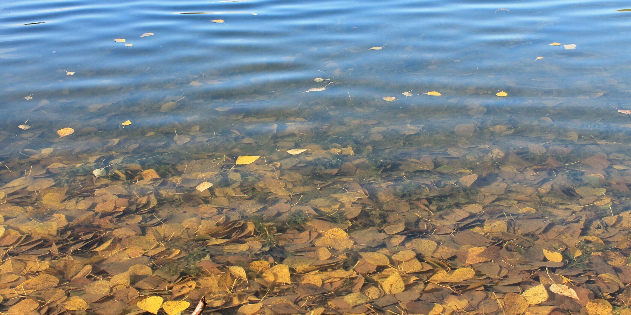 SaturdayMe's profile banner image