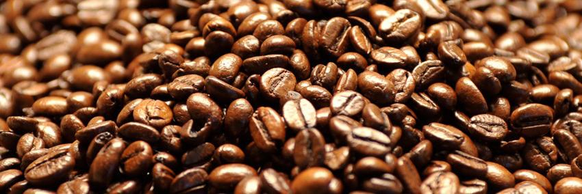 CardiffMetFood's profile banner image