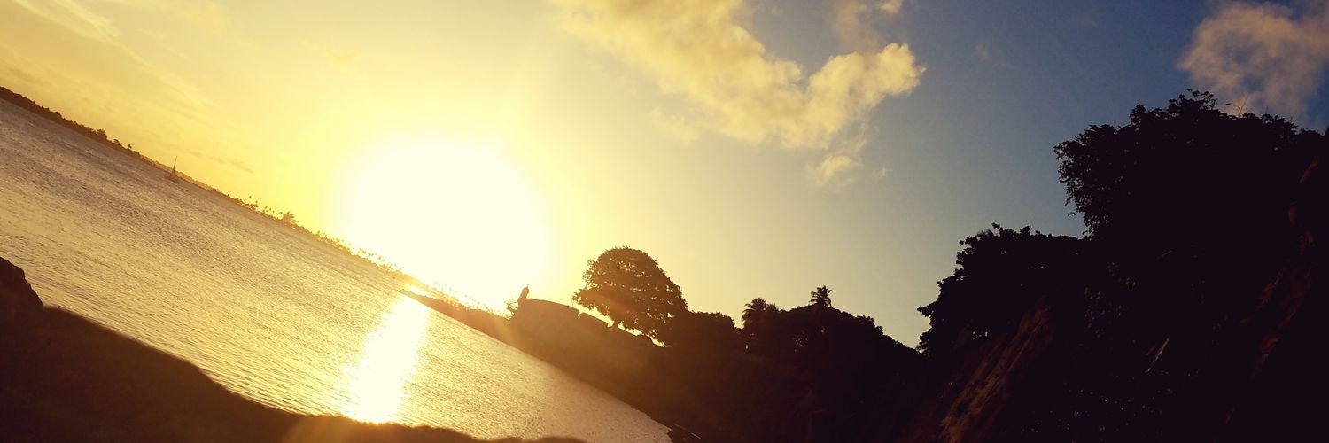 PadillaShelimar's profile banner image