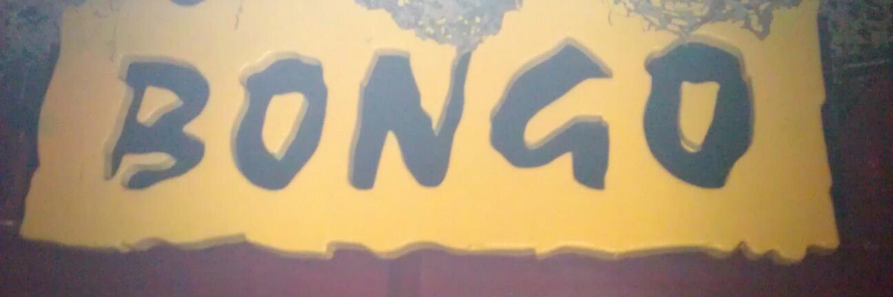 RaymondoBongo banner
