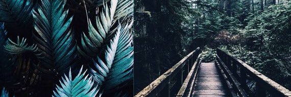 gg_guida's profile banner image