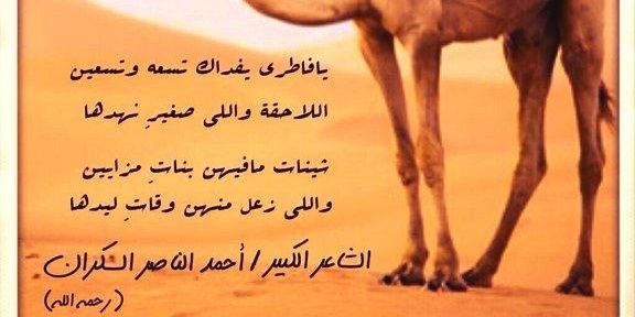 kaskhaled47's profile banner image