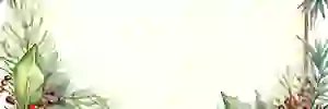 DarkUser350's profile banner image