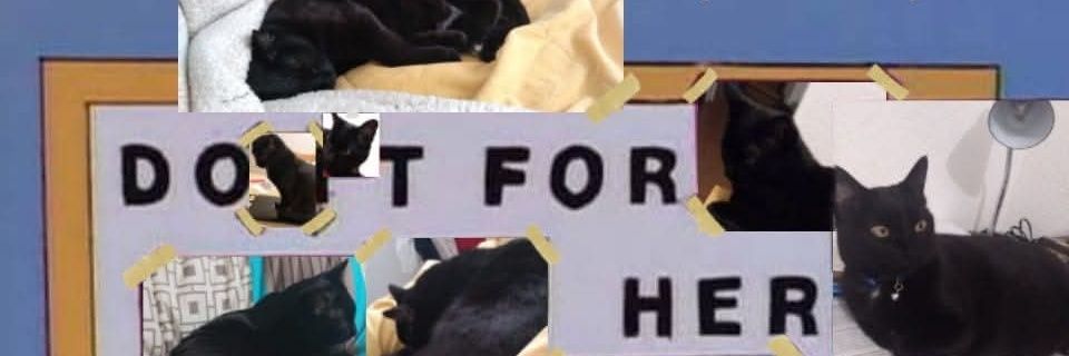 ChaeYeWook's profile banner image