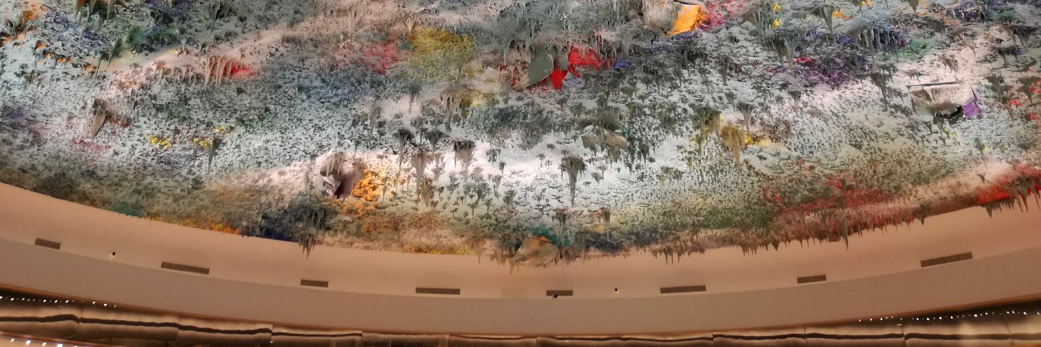 Anthony Vanoverschelde banner