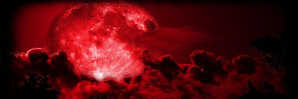 canastefi's profile banner image