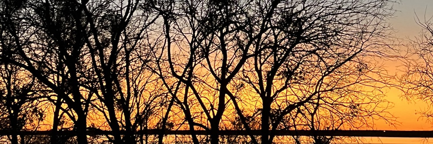 _mjsimon_'s profile banner image