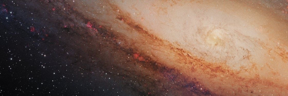 Star__Beacon's profile banner image