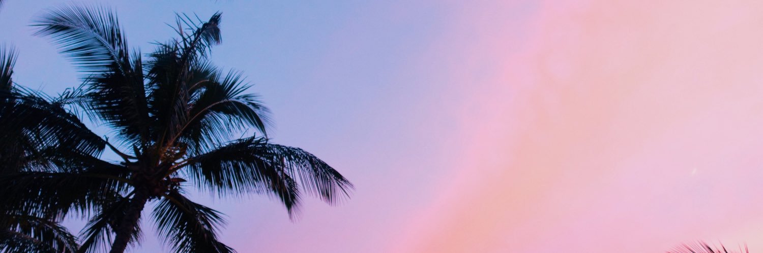LisSchauer's profile banner image