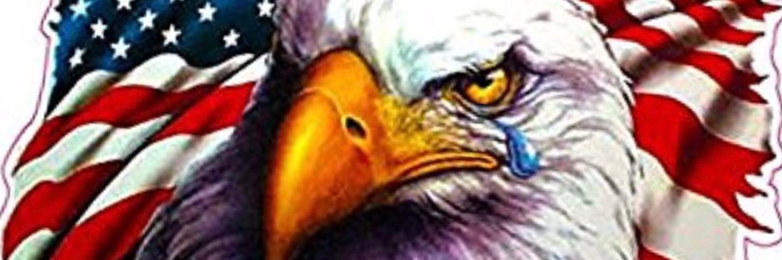 LABirdlady's profile banner image