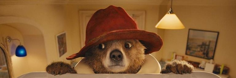 Paddington Brown 🇬🇧 banner