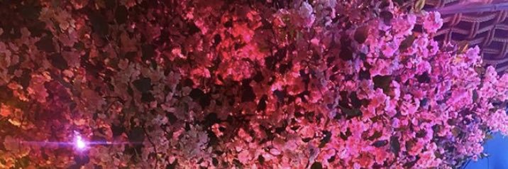 siillysauce's profile banner image