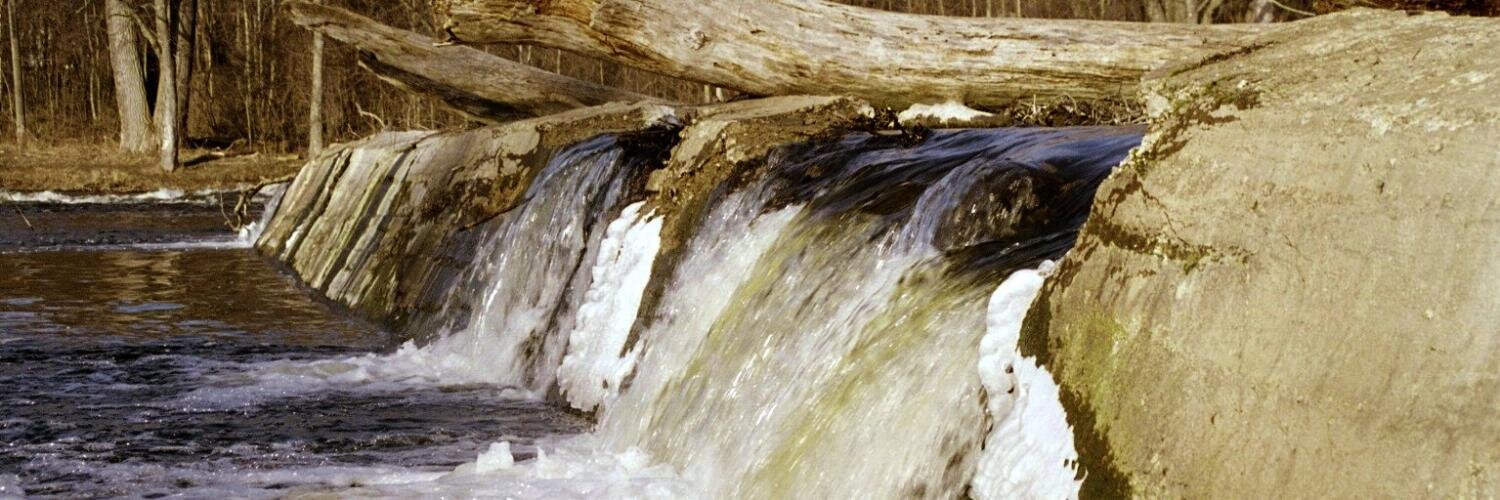 Ralph Reznick banner