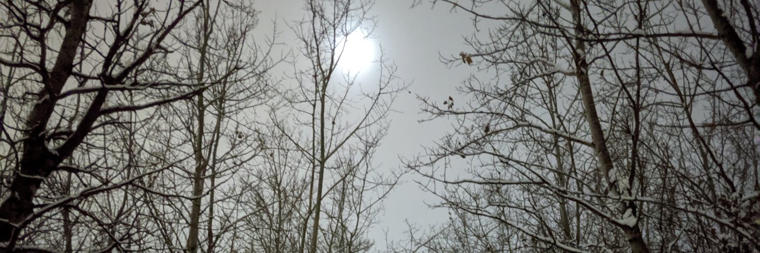 50 years of The Dark is Rising banner