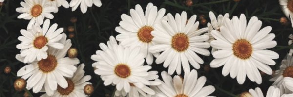 1998Anacosta Profile Banner